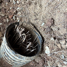 A Drain Field Replacement Wasn’t Needed After All 2